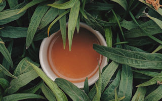 Fermentierte Tees entdecken: Eine Abenteuerreise zu besonderen Teesorten