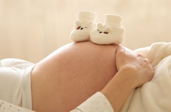 Frauenmanteltee in der Schwangerschaft
